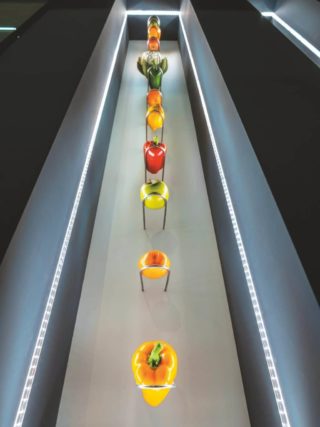 Moderne Warenpräsentation Obst und Gemüse