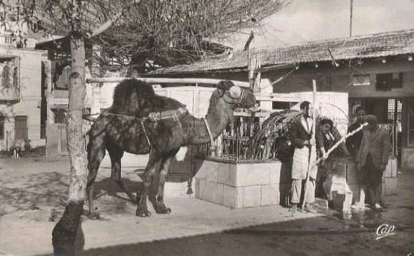 Der Brunnen des Le SafSaf vor 120 Jahren