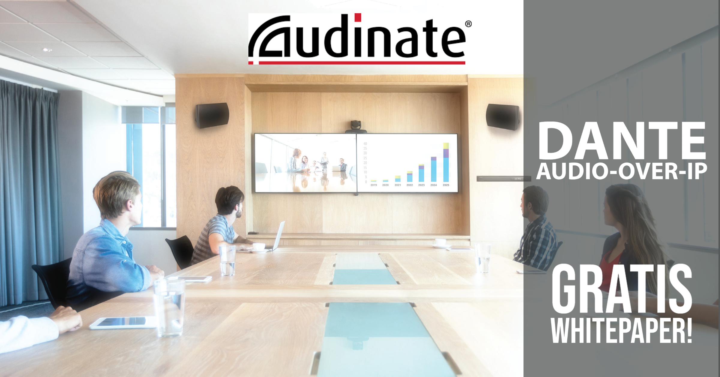 Audinate Download
