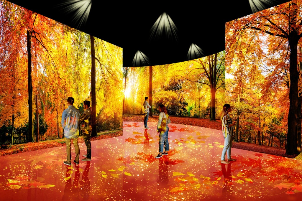 Immersive Ausstellung