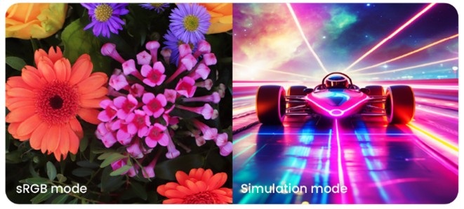 sRBT-Modus und Simulations-Modus